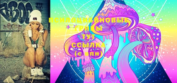 шишки Санкт-Петербург